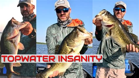 Insane Topwater Bass Fishing At Lake Toho The Kissimmee Chain Bass