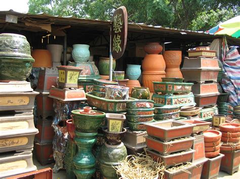 The Chinese Garden: Garden Center in China Guangxi Nanning (1 of 5)