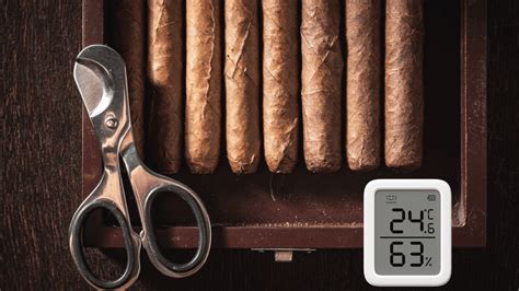 Best Digital Hygrometer for Humidors - SwitchBot Blog