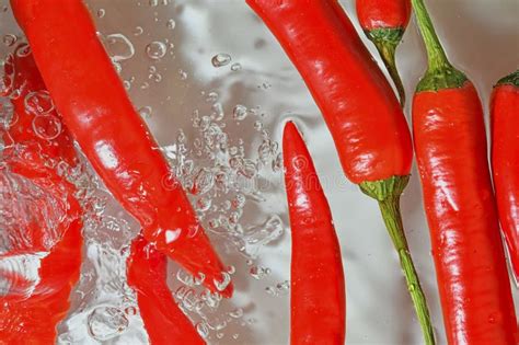 Close Up Of Red Chilli Peppers On White Background Chilli Peppers In