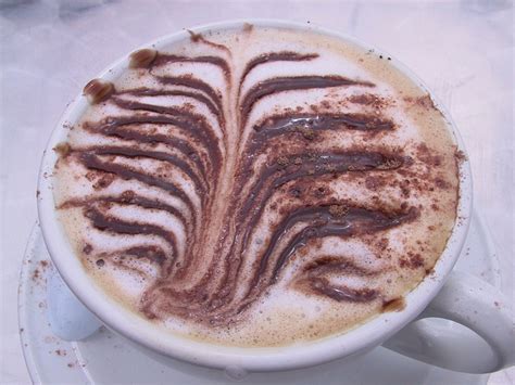 Comment R Aliser Un Cappuccino Maison Avec Une Cafeti Re Italienne