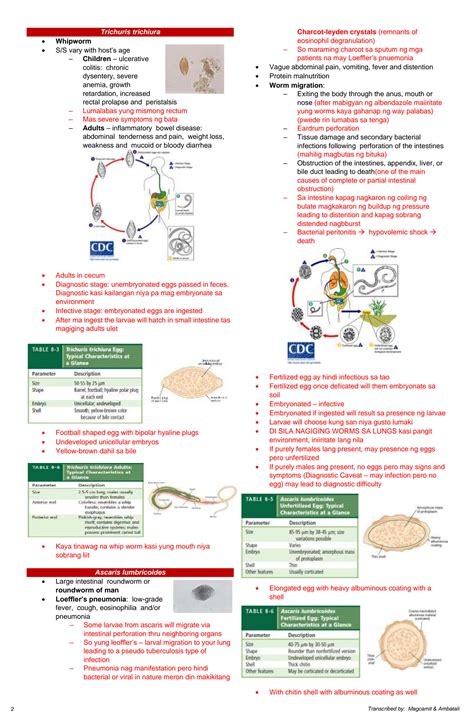 Solution Intestinal Nematodes And Filariae Studypool