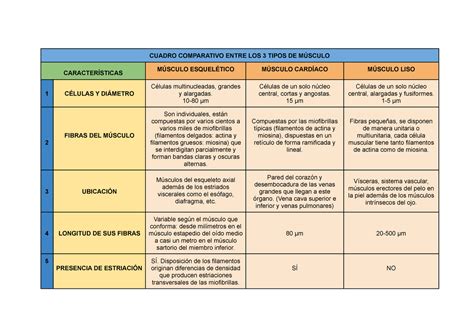 Cuadro Tipos De M Sculo Cuadro Comparativo Entre Los Tipos De