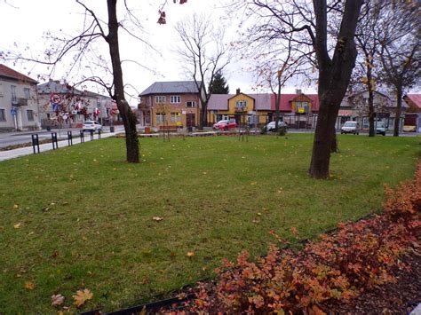 Rynek Opole Lubelskie