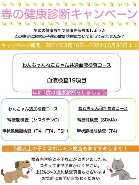 春の健康診断キャンペーン かわにし動物病院