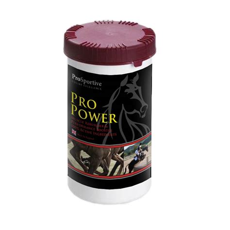 Equine Stiffness - How to identify, cure and prevent it — Pro Sportive