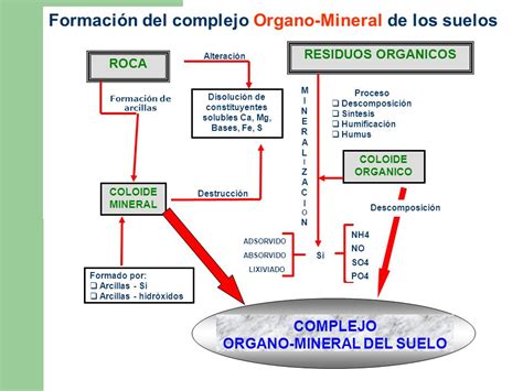 Fundamentos De La Ciencia Historia De La Ciencia Del Suelo Edafolog A