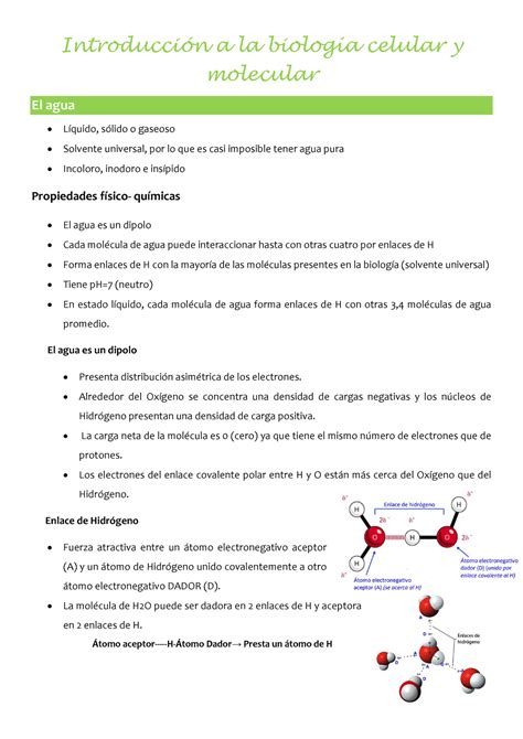 Introducci N A La Biolog A Celular Y Molecular Introducci N A La