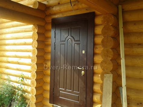 Входная дверь в баню: деревянная, металлическая, фото