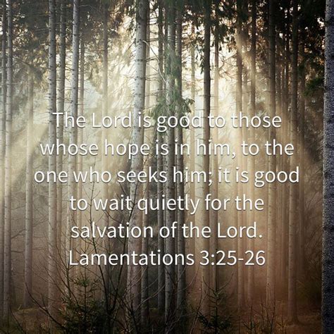 Lamentations 325 26 New International Version Niv Bible Apps