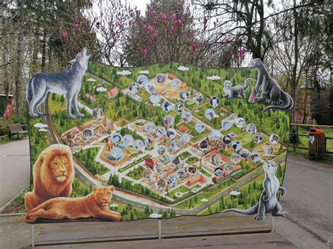 A visit to Bucharest Zoo - Inside Laura's Head