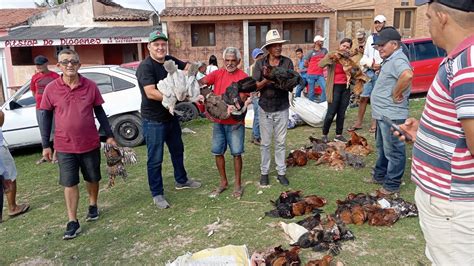 VANIO DA FEIRA DAS GALINHAS REGISTRANDO MAS UMA VEZ A FEIRA DE CAPOEIRA