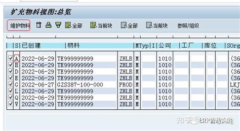 Sap Mm50批量扩充物料主数据管理视图 知乎