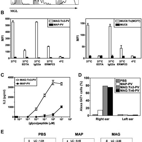 Tn Glycosylated Antigens Target Human Dermal Dcs Representative