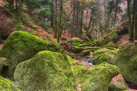 Wolfsschlucht Bad Kreuzen Wolfsschlucht