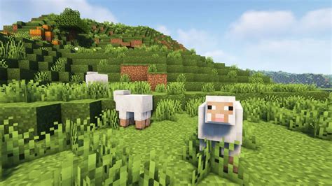 [100+] Minecraft Sheep Wallpapers | Wallpapers.com