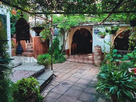 El oasis secreto de Alicante donde disfrutar de un té como si