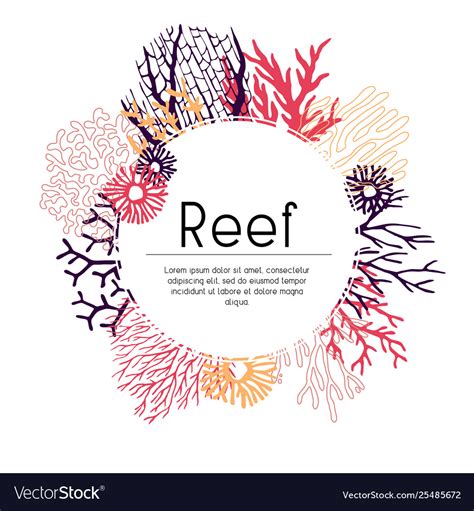 Template Seaweed And Corals Royalty Free Vector Image