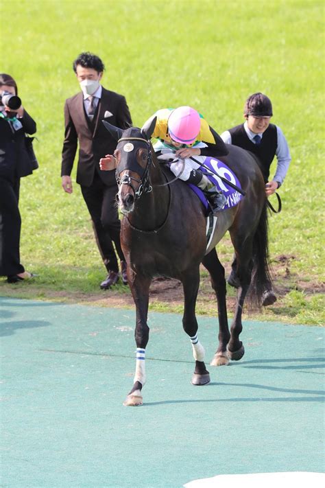 天皇賞・春vタイトルホルダー馬房で元気、今後は様子見て放牧へ 栗田師「問題なさそう」 競馬写真ニュース 日刊スポーツ