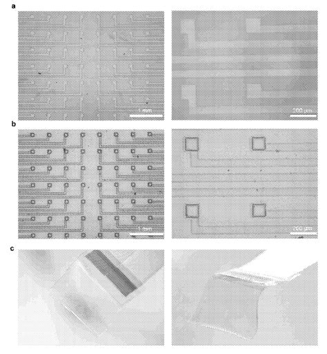 Supramolecular Network For Stable Highly Stretchable Conducting And