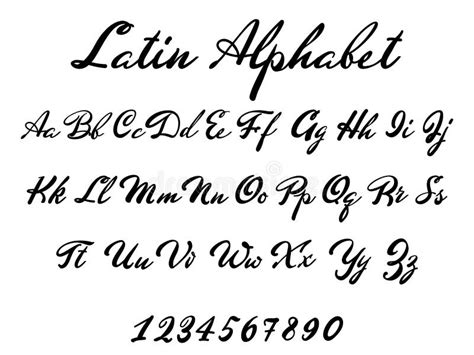 Latin Alphabet Classical Calligraphy and Lettering. Wedding Font Stock Vector - Illustration of ...