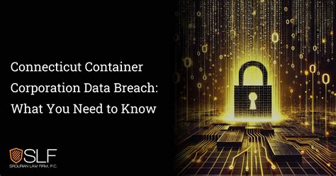 The Shestorys Breach: What You Need to Know About Data Security – And the Burch Twins. - yp4a8dg