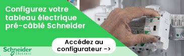 T L Rupteurs Schneider Elecdirect Vente Mat Riel Lectrique