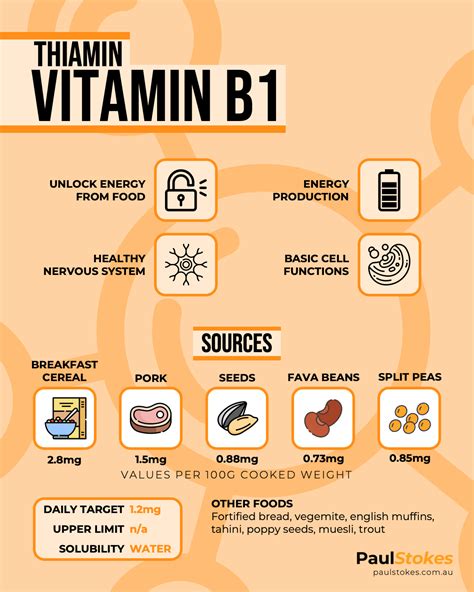 Vitamin B1 Thiamin Nutrient Spotlight Food Sources And Intake