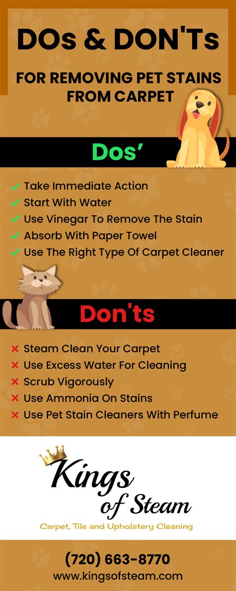 Dos And Don Ts For Removing Pet Stains From Carpet