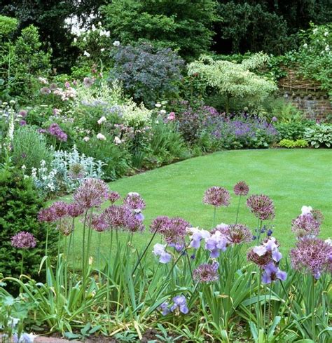 76 best Border garden full Sun images on Pinterest