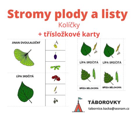 Materi L Stromy Plody A Listy Kol Ky