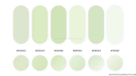 Light Green Colors Aesthetic Color Palette