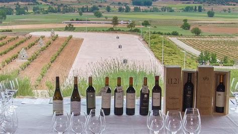 Ribera del Duero ruta por 10 bodegas para celebrar los 40 años de la