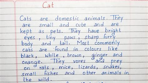 Write A Short Essay On Cat Essay Writing English Youtube