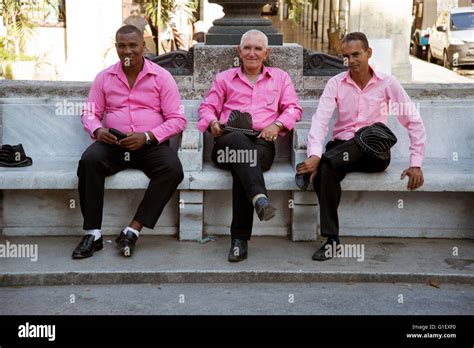 Three Cuban male singers dressed in pink shirts and cowboy hats sit on ...