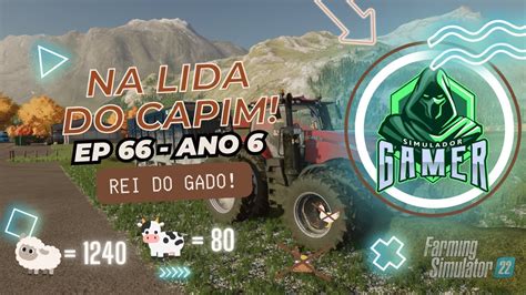 Rei Do Gado EP66 Na Lida Do Capim Ano 6 Fazenda Lapacho