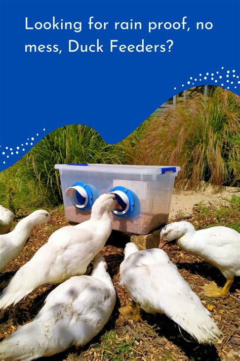 Rain proof no mess diy duck feeder kit – Artofit