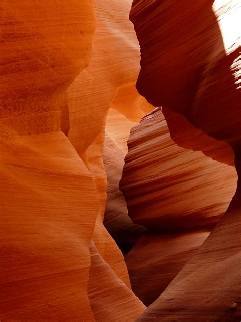 Images Gratuites paysage la nature le sable Roche bois lumière