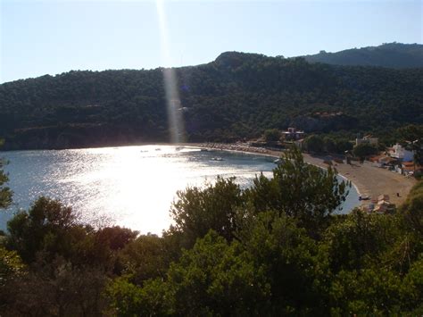 Tarti Photo from Tarti in Lesvos | Greece.com