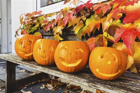 How To Preserve Carved And Uncarved Pumpkins