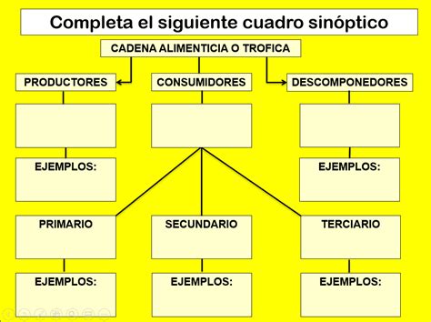 Cadena Alimenticia Para Ni Os De Primaria