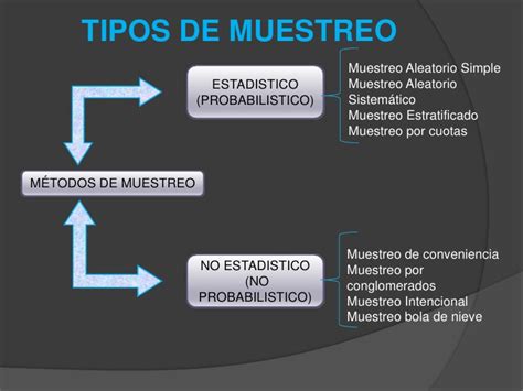 ¿se Pueden Entender Las Matemáticas El Papel De Las Muestras En Estadística