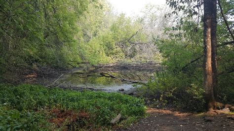 Seeley Lake Park — Washington Trails Association