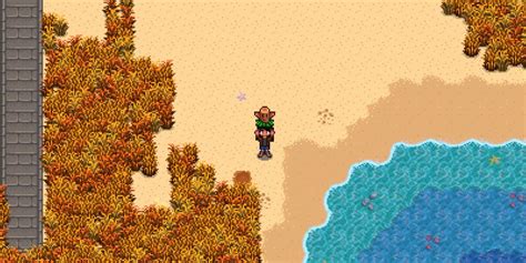 Stardew Valley Players First Farm Teleport Goes Wrong