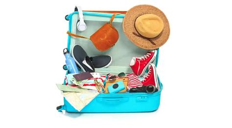 Travel In Style Why The Blowout Babe Thermal Brush Is A Must Have Hair Tool CrewLogout