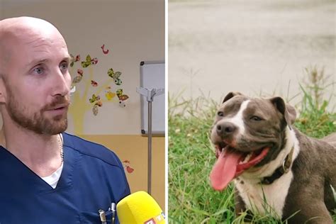 Veterinar O Slu Aju Staforda Koji Je Ubio Staricu Problem Nastaje U