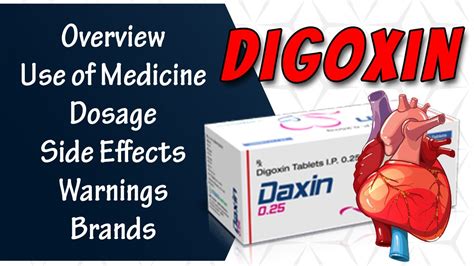 Digoxin Lanoxin Dixin Heart Failure Mechanism Of Action Uses