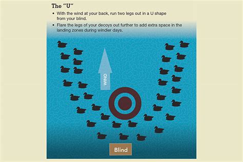 Diver Duck Decoy Spread Diagrams Decoy Spreads