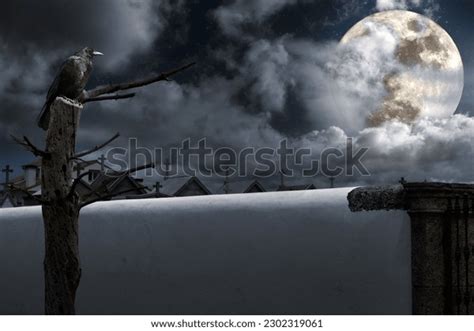 328 Naked Crow Images Stock Photos 3D Objects Vectors Shutterstock