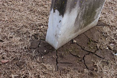 Moss on gravestone stock photo. Image of gravestone, doddington - 60660424